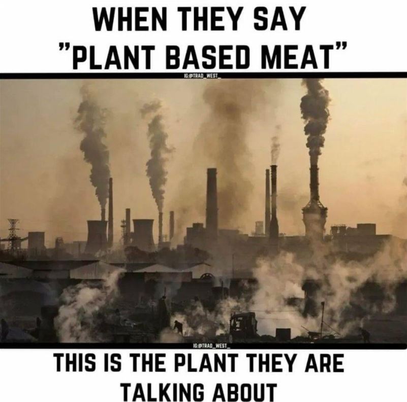 Plant Based Meat