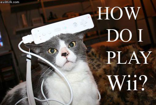 Play Wii Cat