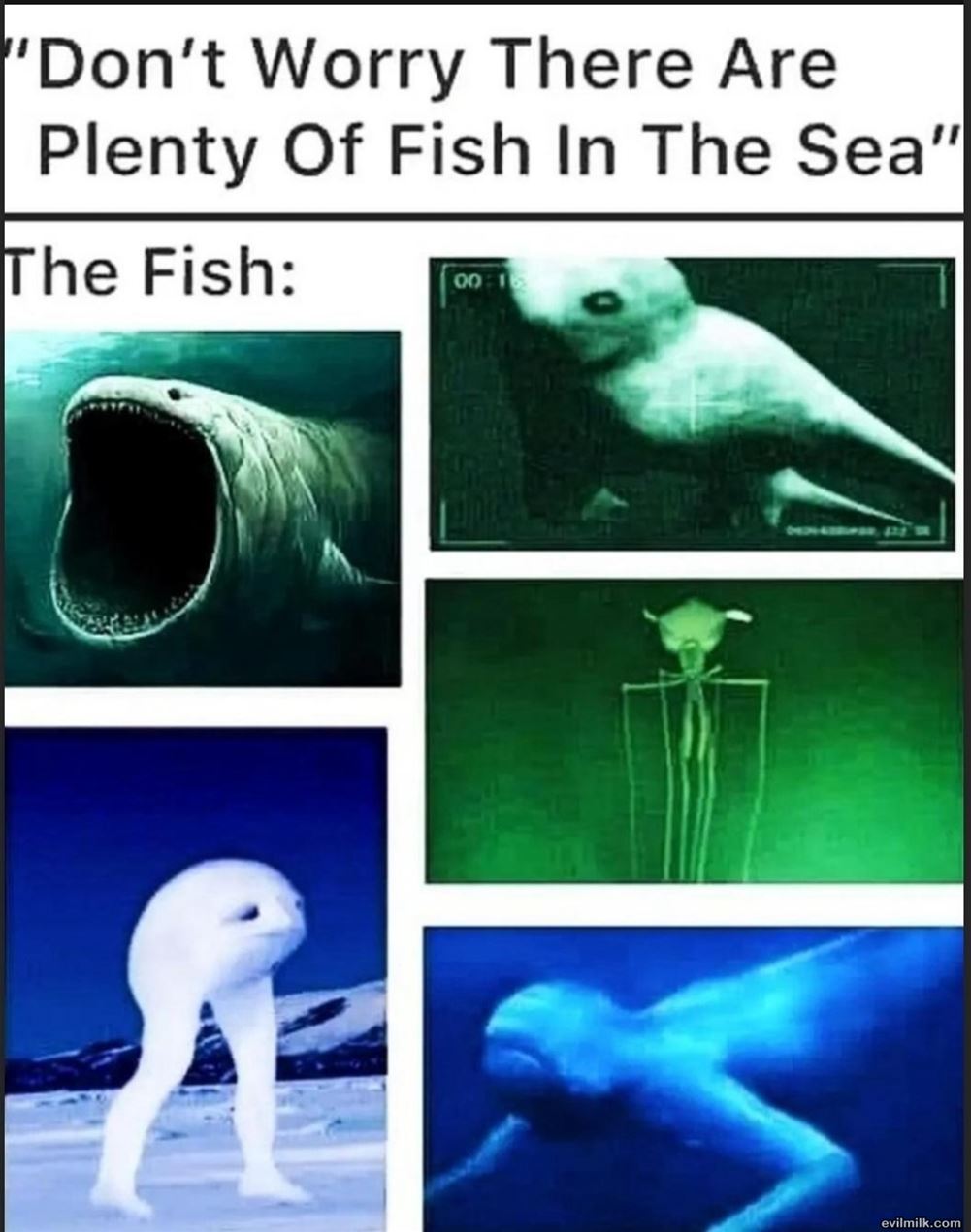 Plenty Of Fish