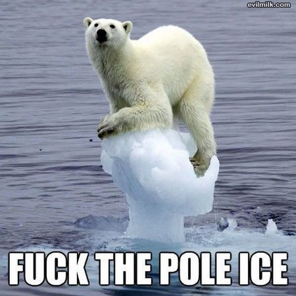 Pole Ice