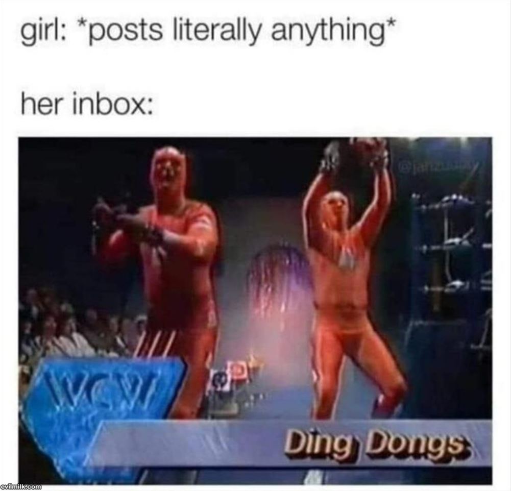 Posts Anythings