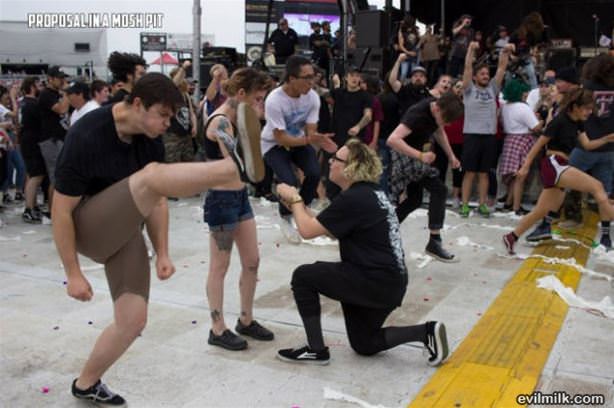 Proposal In A Mosh Pit