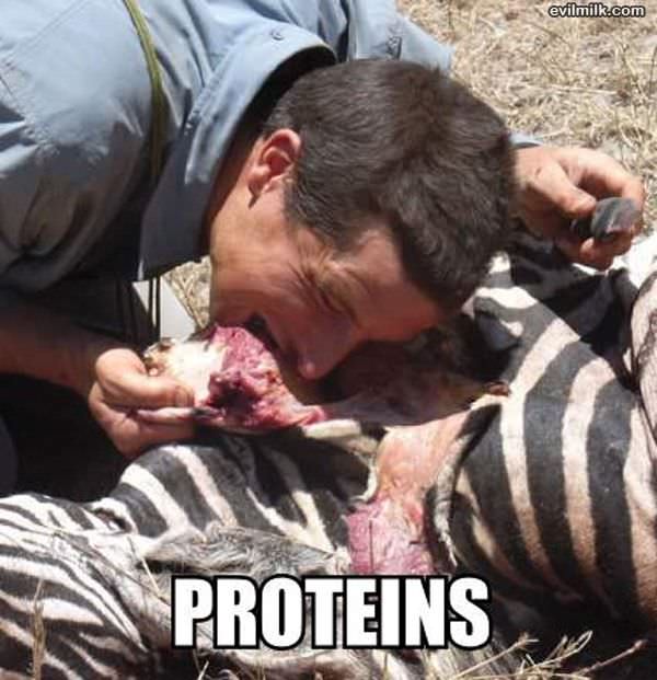 Proteins