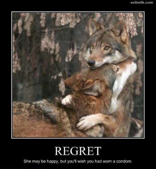 Regret