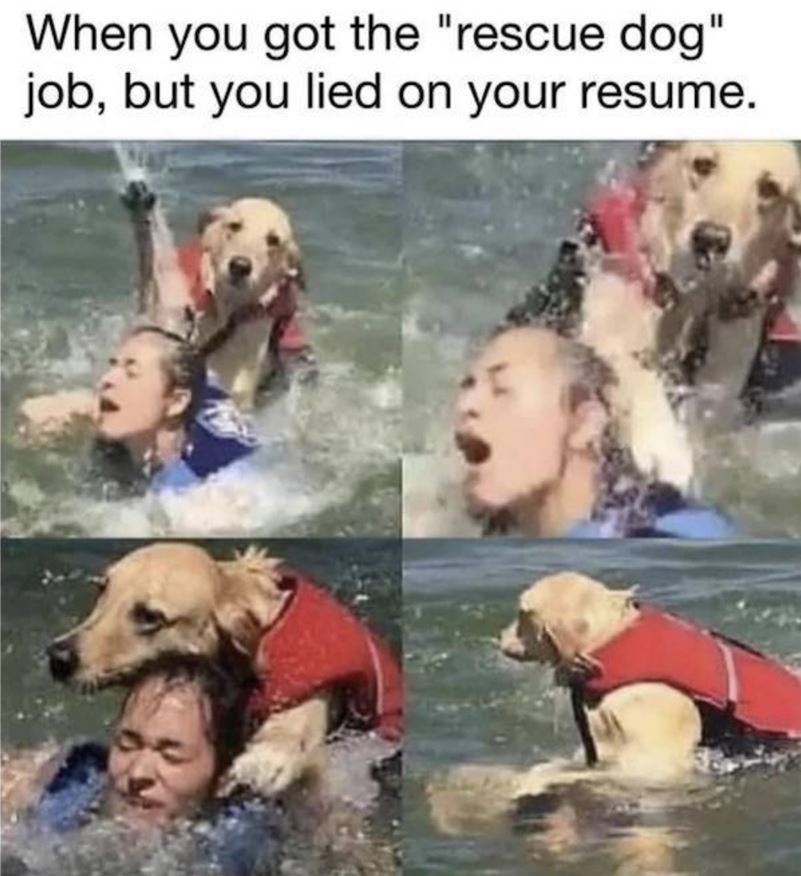 Rescue Job