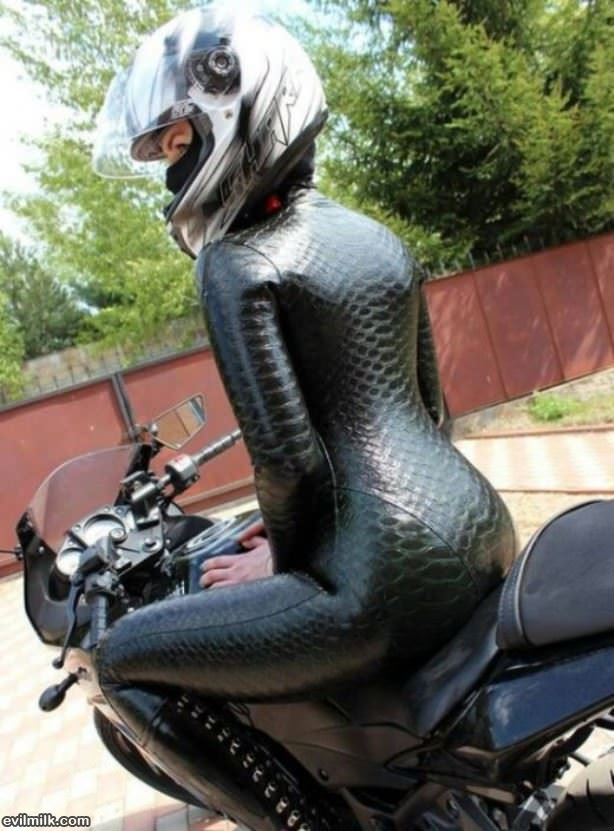 Riding Gear