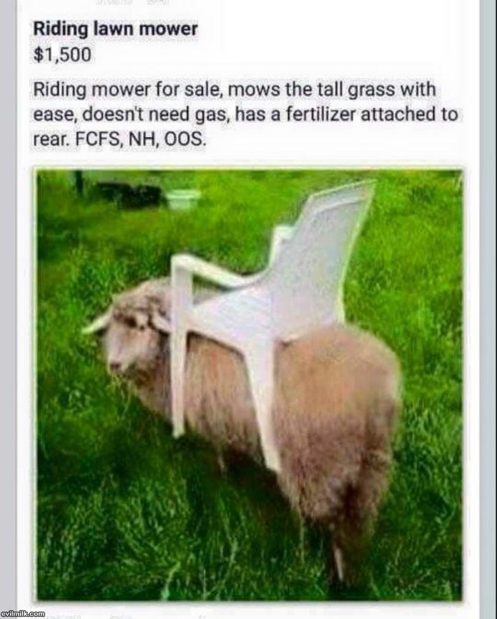 Riding Mower