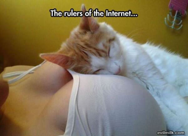 Rulers Of The Internet