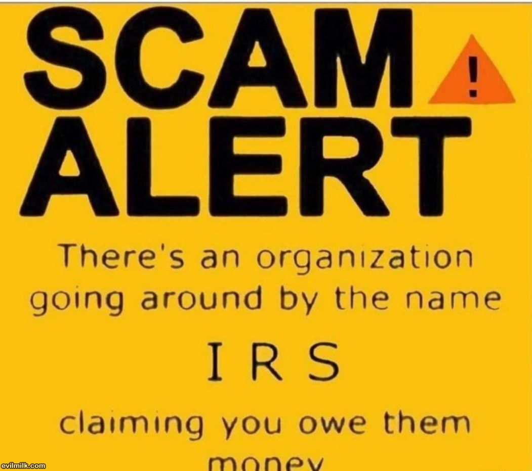 Scam Alert