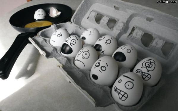 Scared Eggs