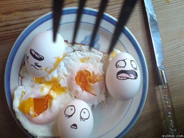 Scared Eggs