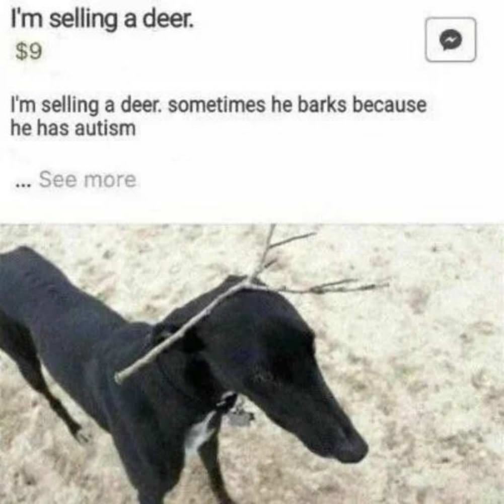 Selling My Deer