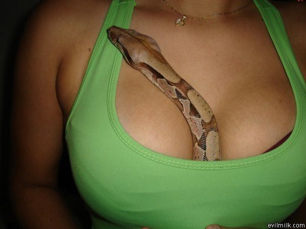 She Has A Snake