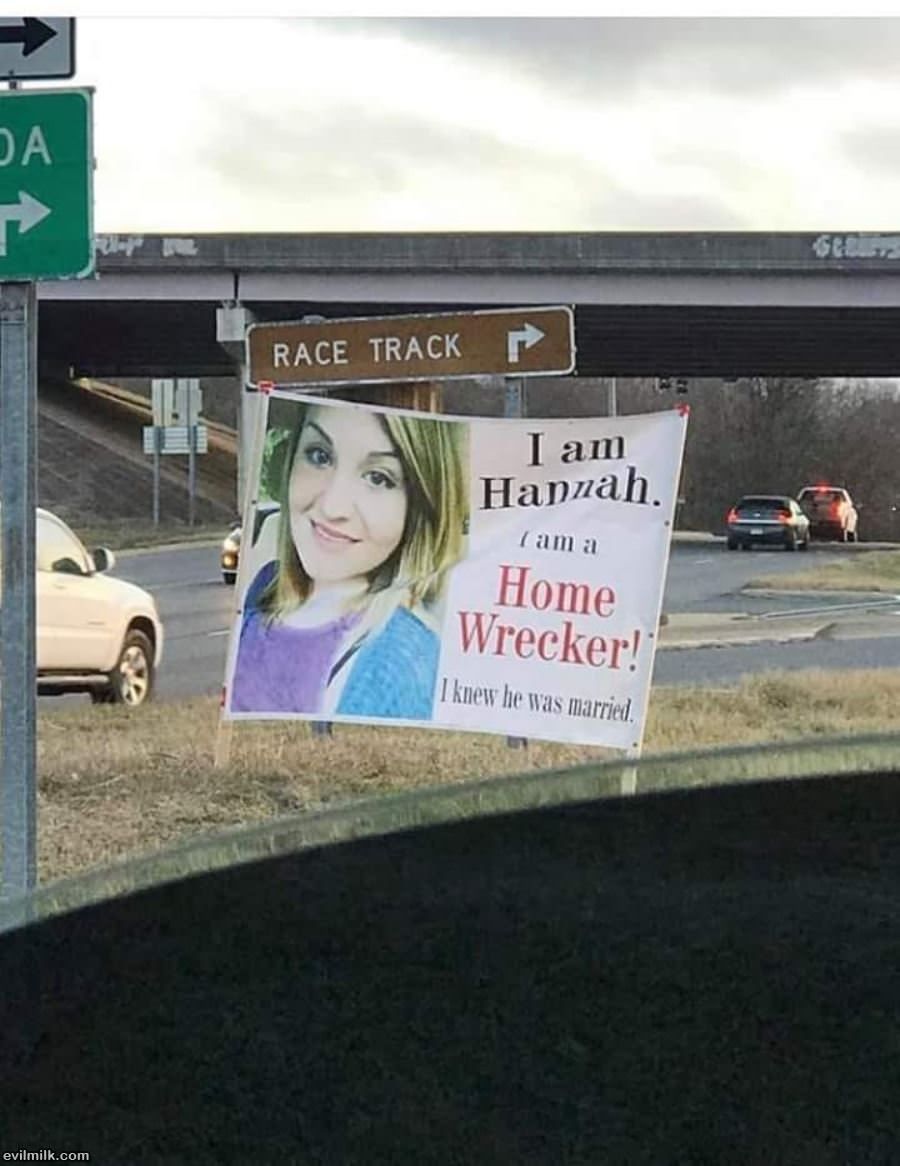 Home wrecker meme