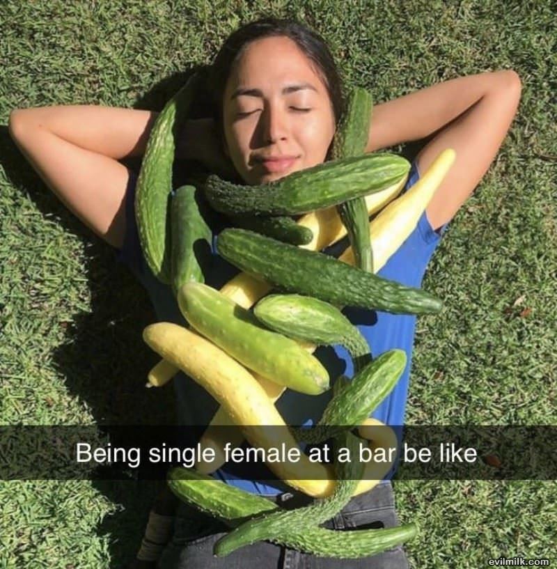 Single Female At The Bar