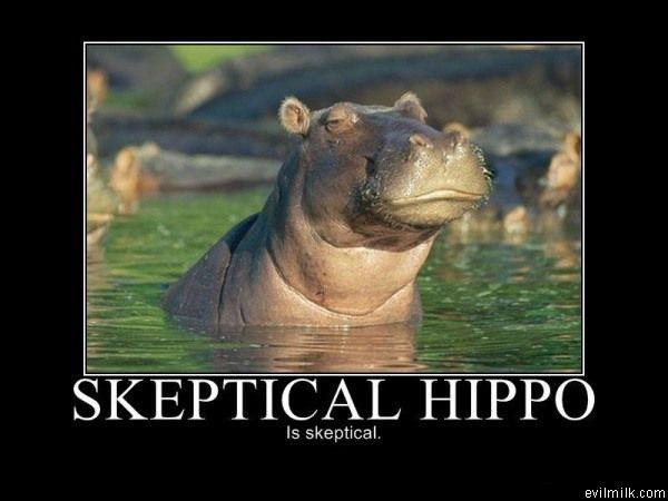 Skeptical Hippo