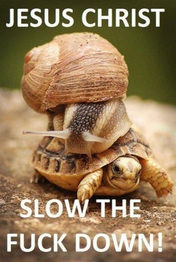 Slow Down