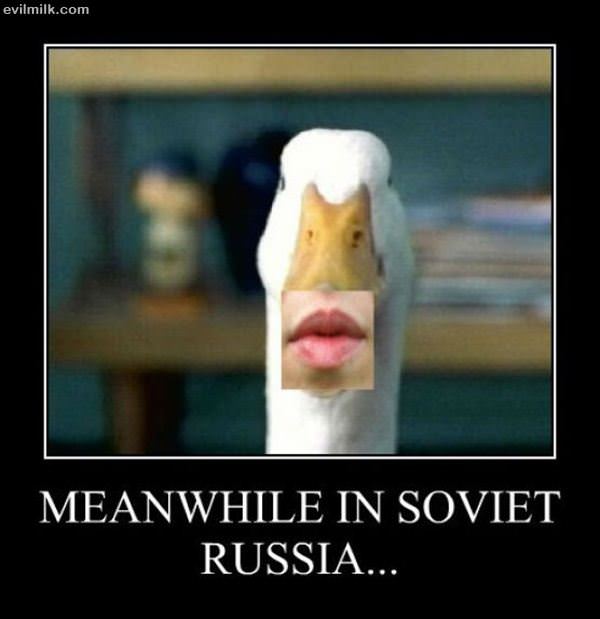 Soviet Duck Face