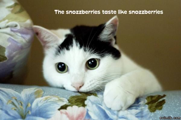 Sozzberries