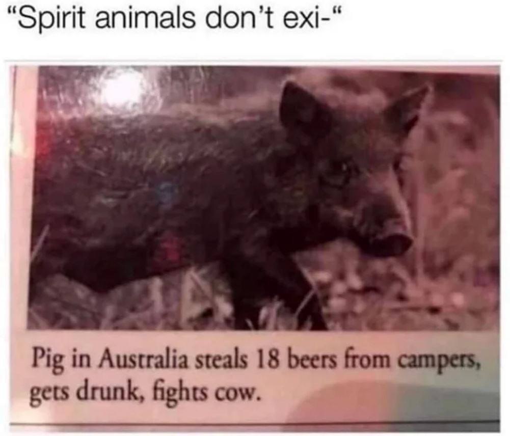 Spirit Animal