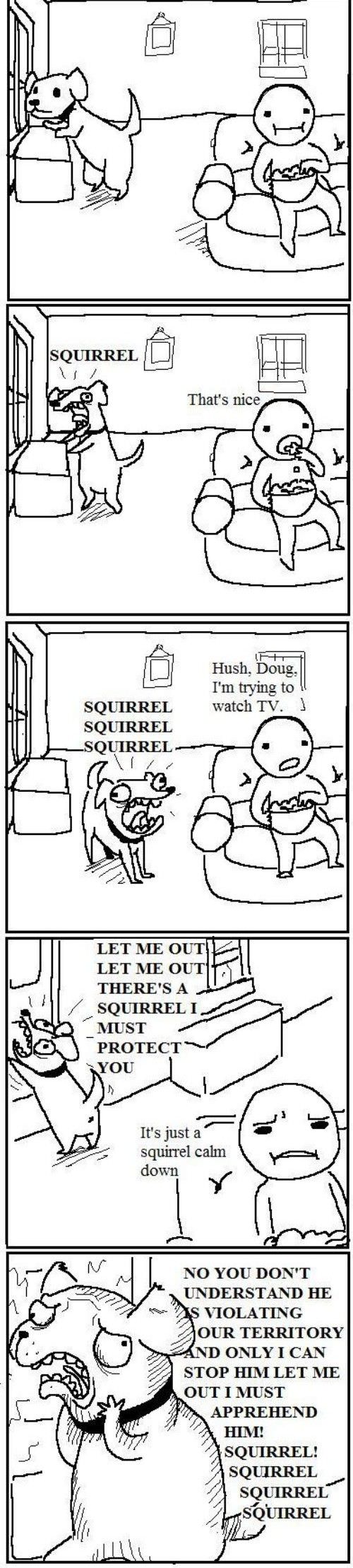 Squirrel