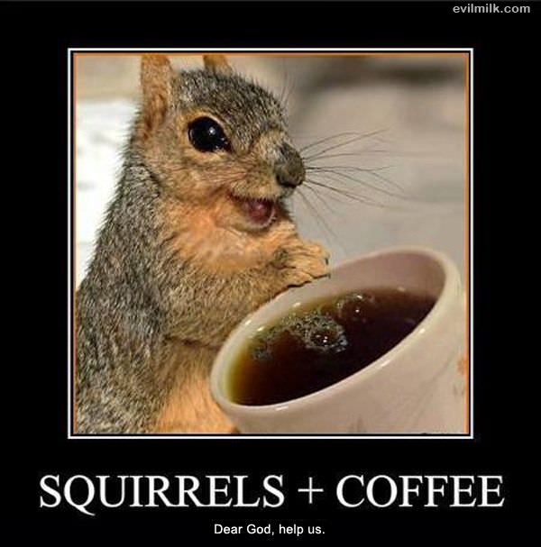 Squirrels And Coffee