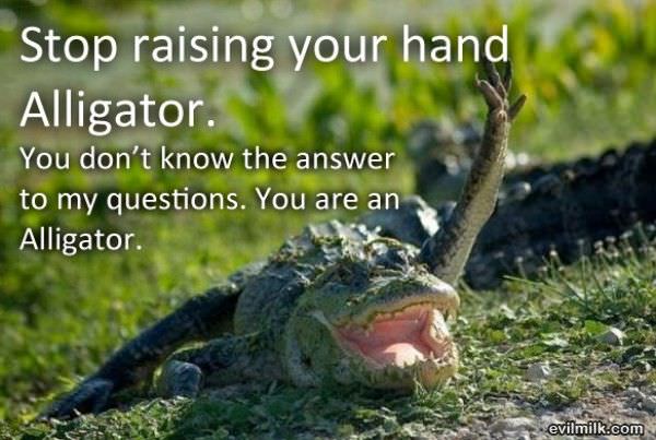 Stop Raising Your Hand