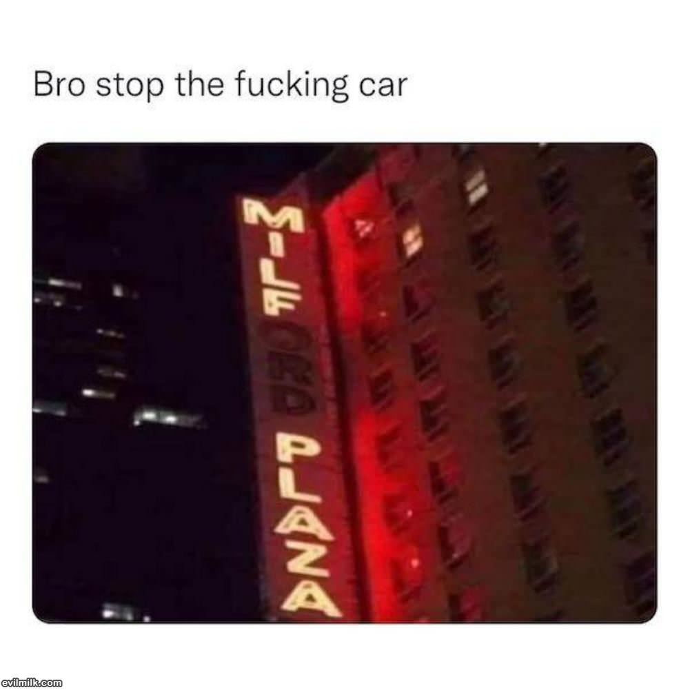 Stop The Car