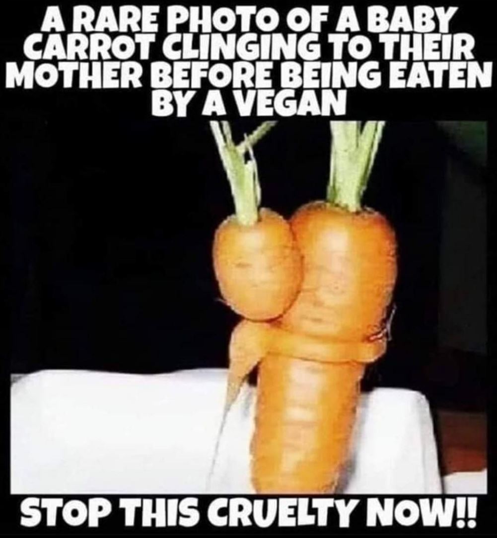 Stop This Cruelty