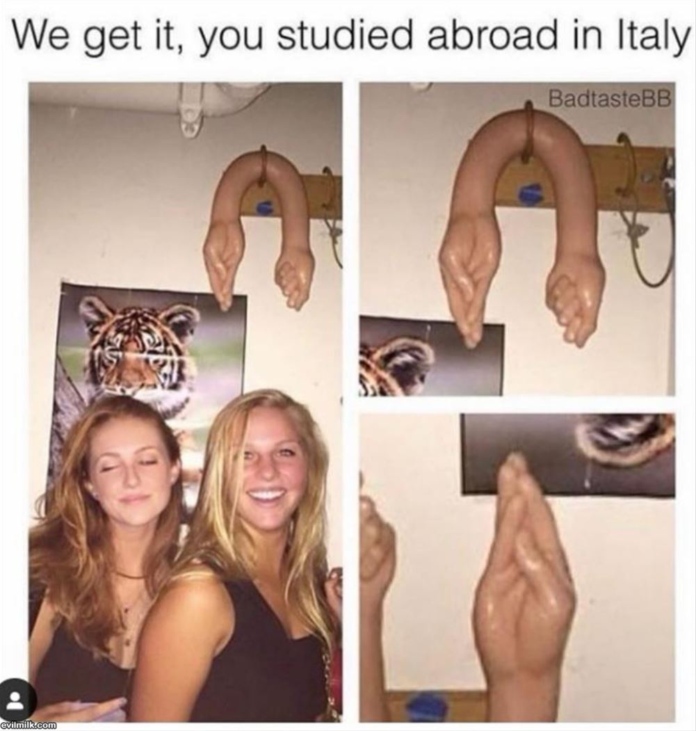 Studied Abroad