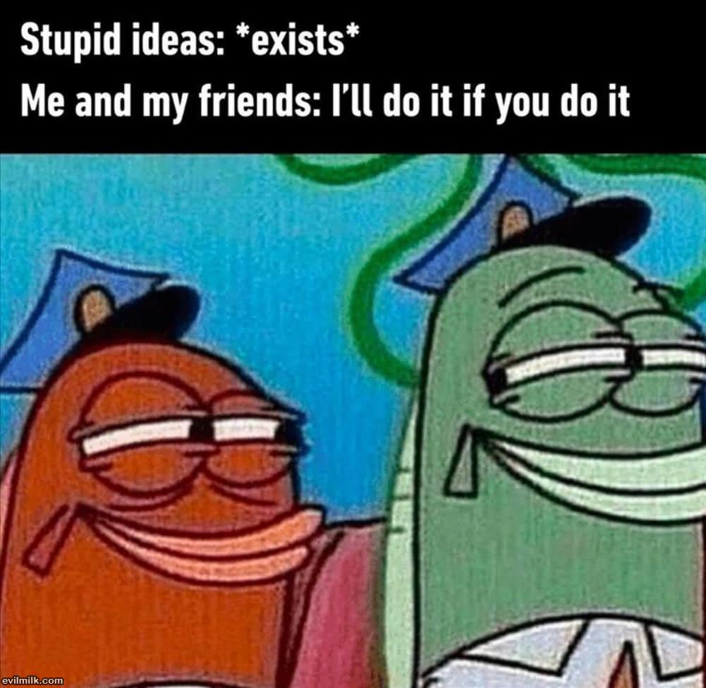 Stupid Ideas