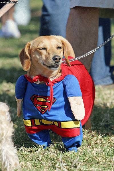 Super Dog