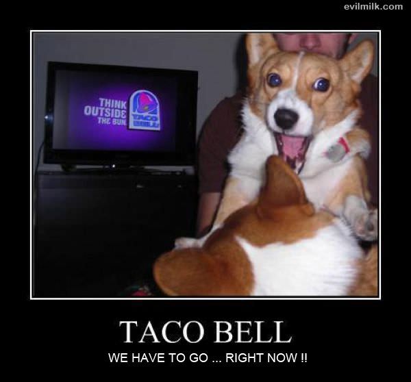 Taco Bell