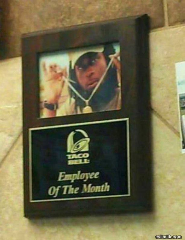 Taco Bell Employee Of The Month