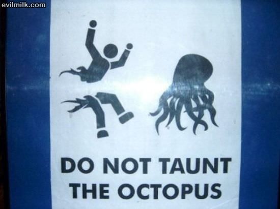 Taunt The Octopus