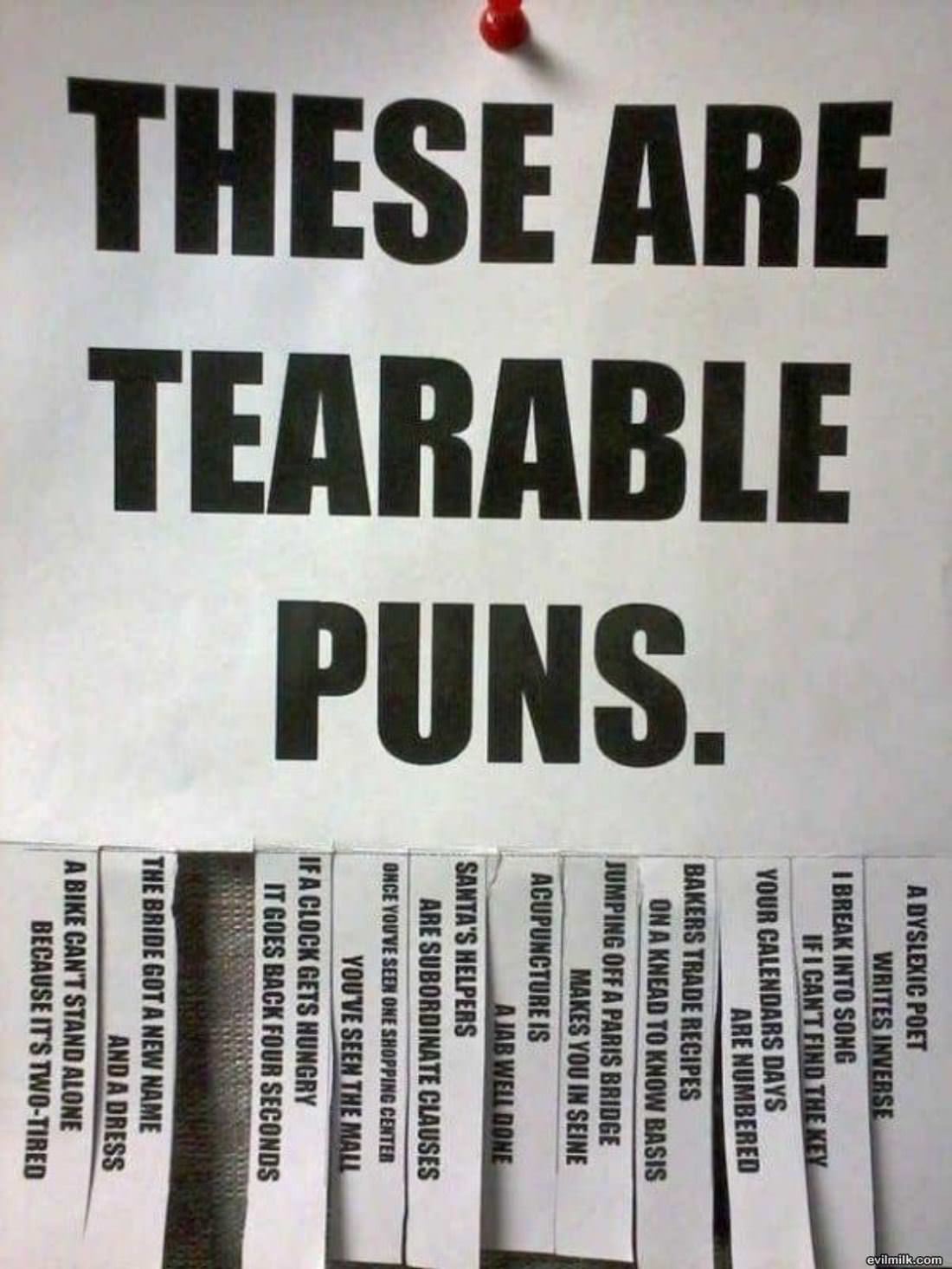 Tearable Puns