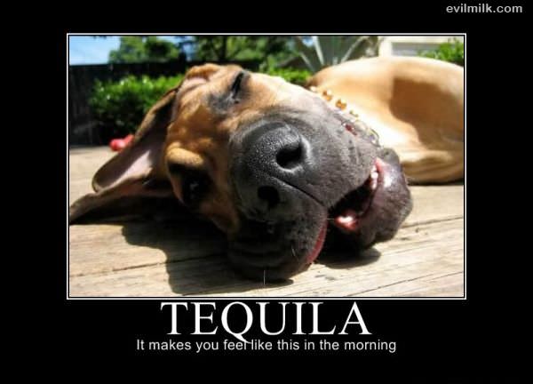 Tequila