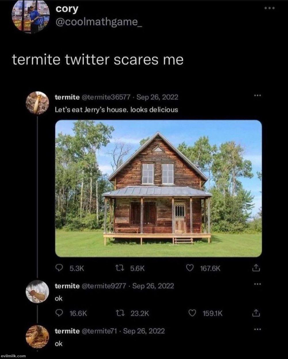 Termite Twitter