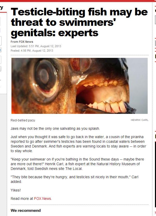 Testicle Biting Fish