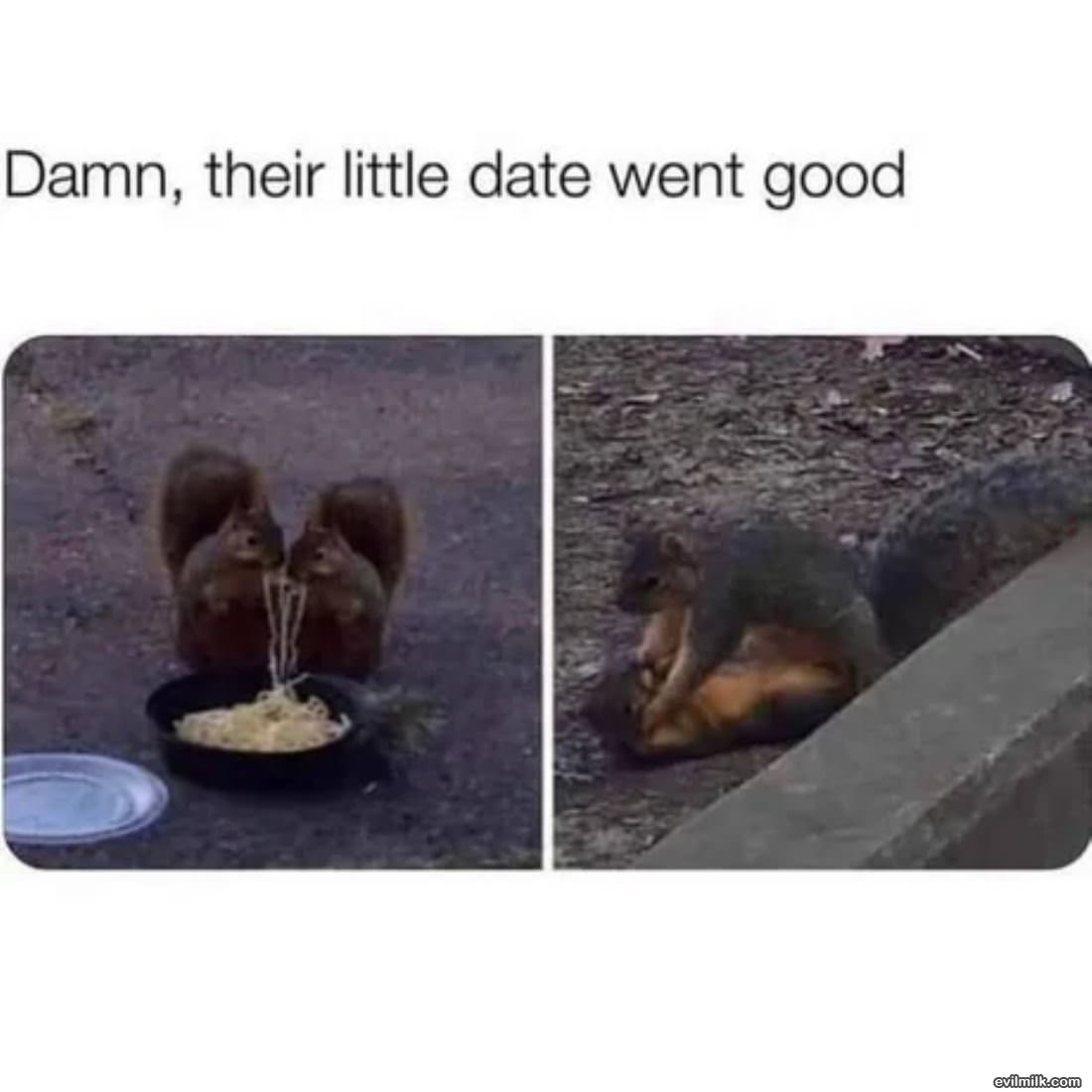 That Date Went Good