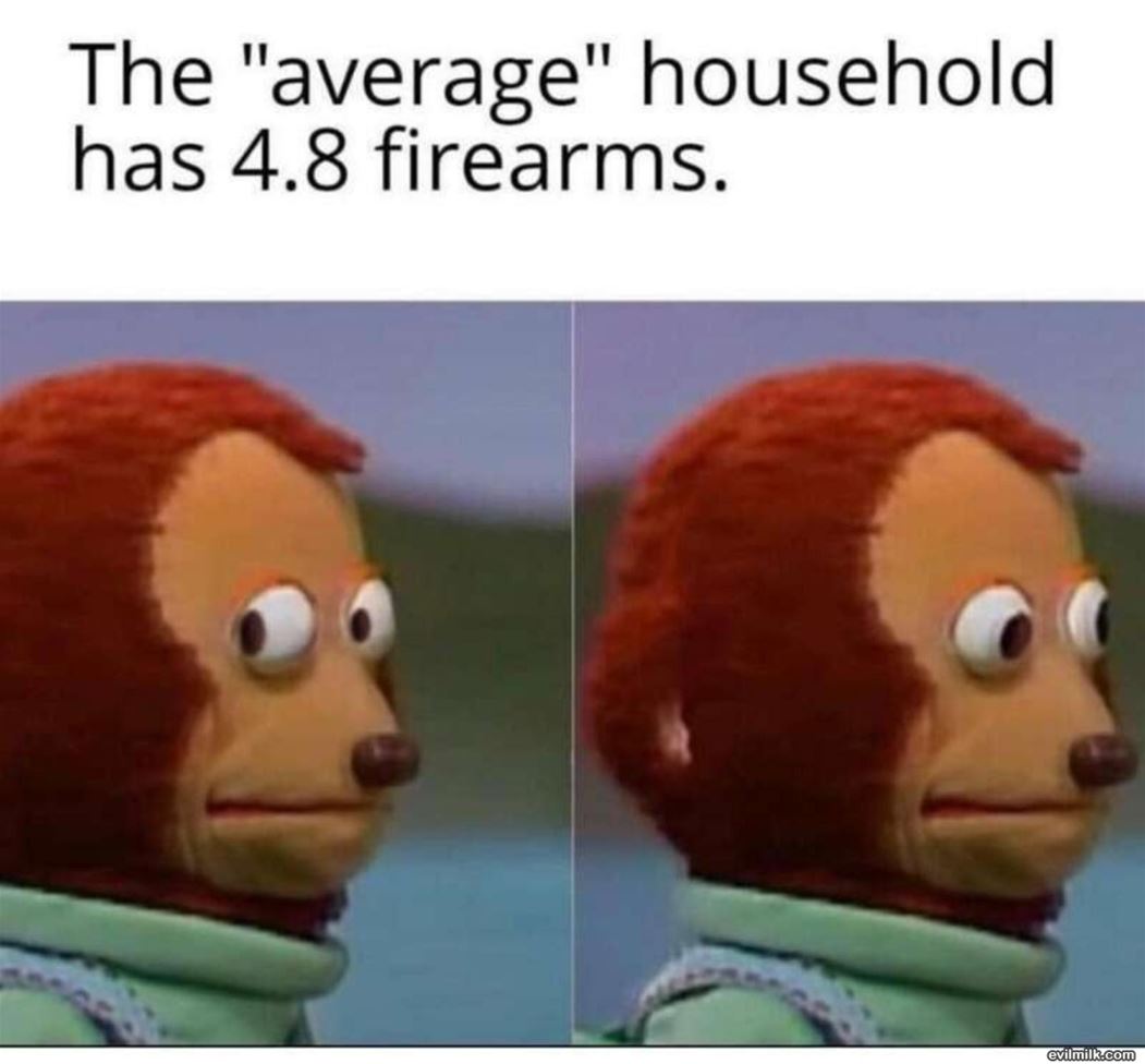 The Average Household