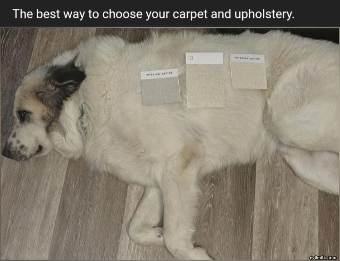 The Best Way To Choose