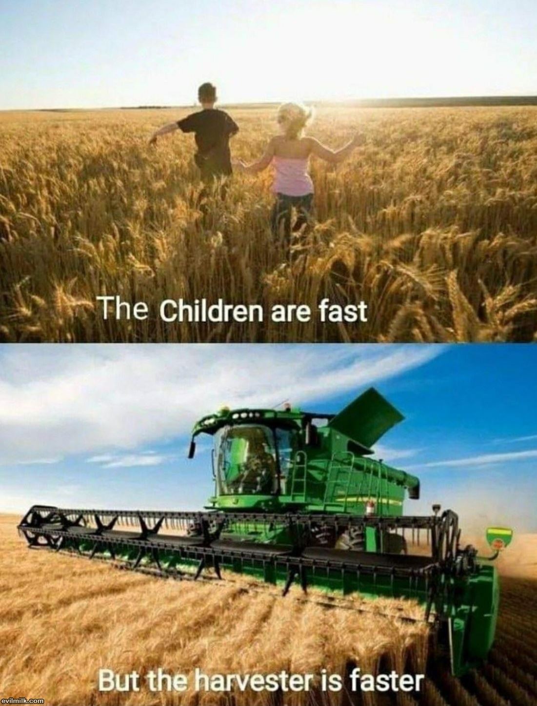 The Children Are Fast