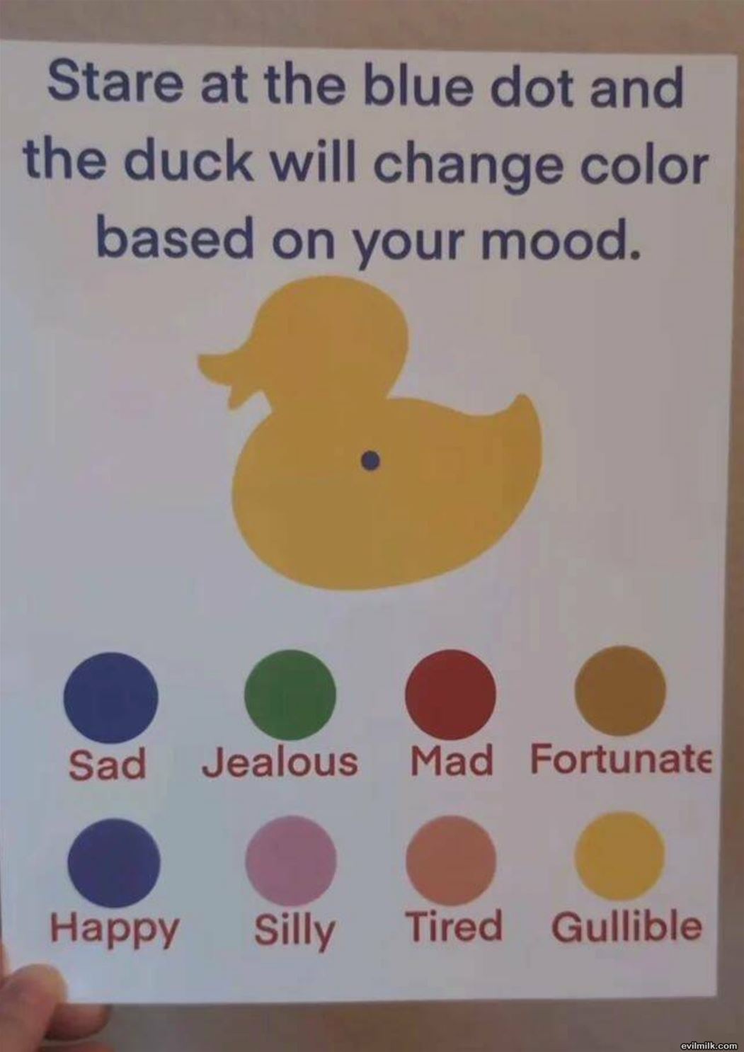 The Color Changing Duck