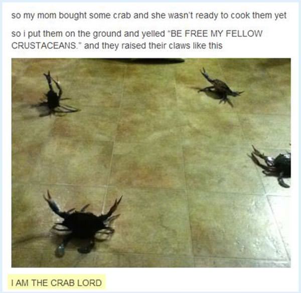 The Crab Lord