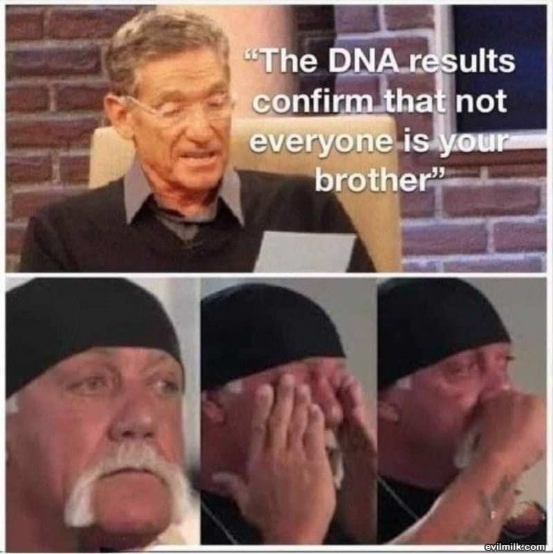 The Dna Results