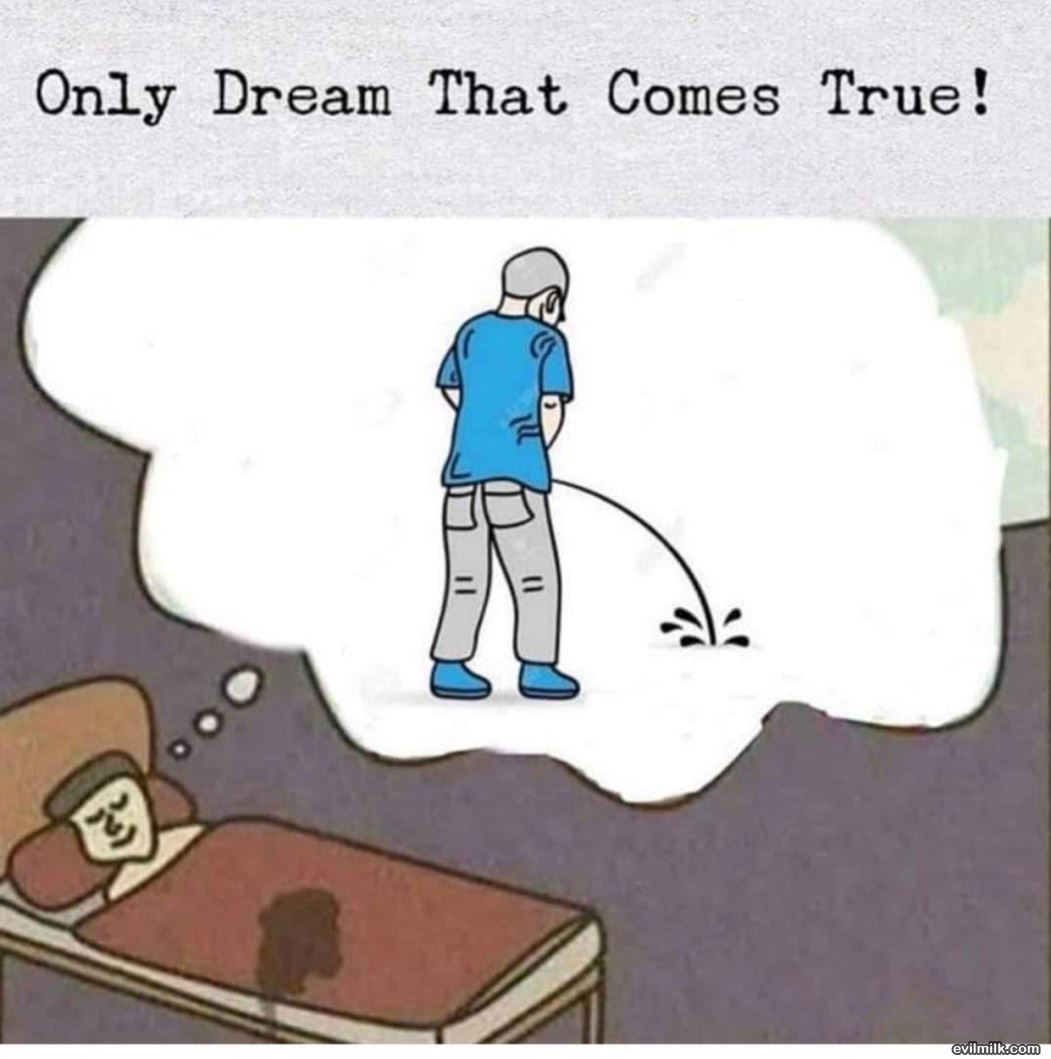 The Dream That Comes True