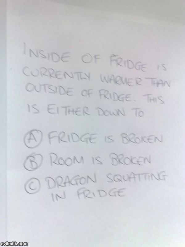 The Fridge Problem