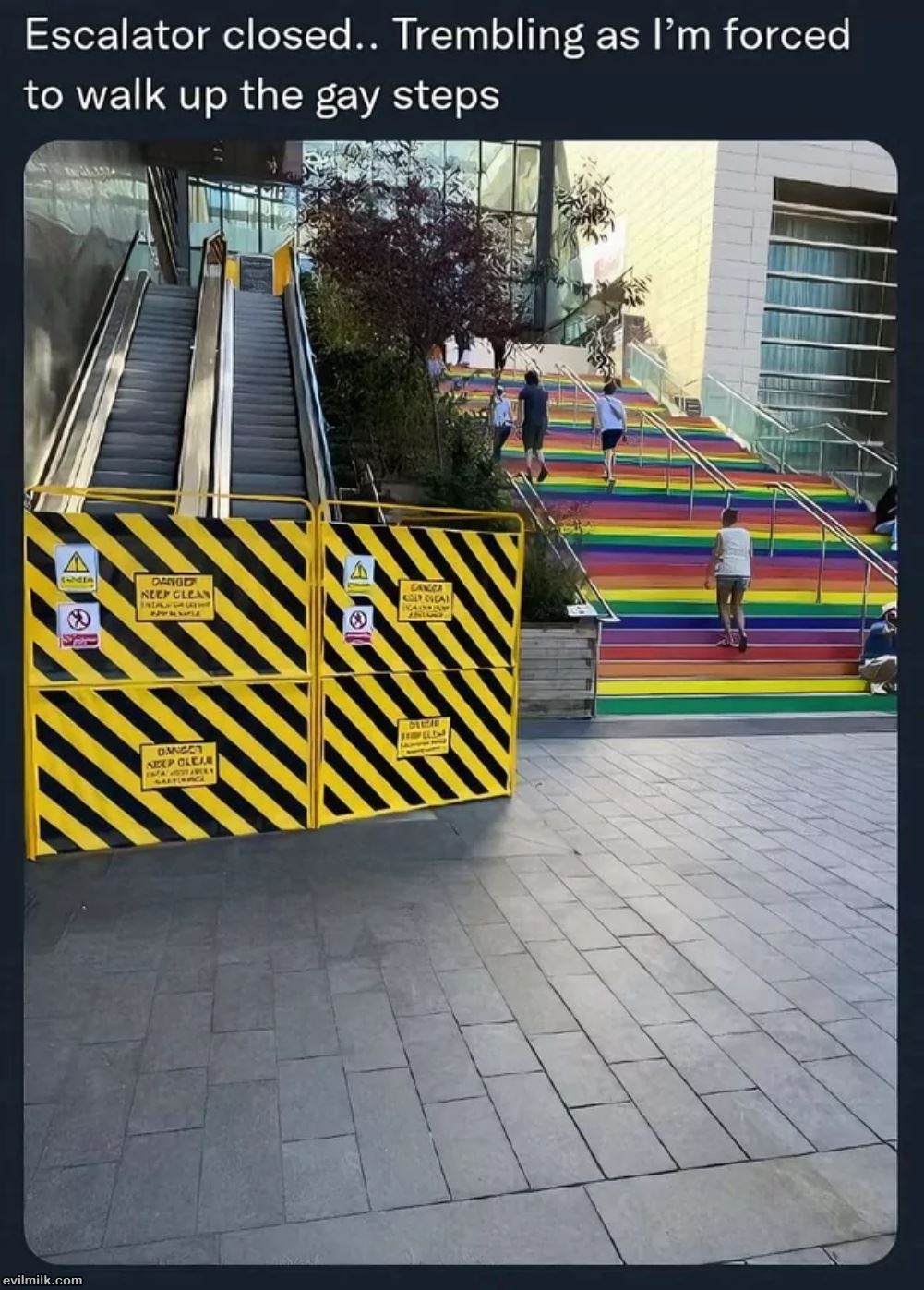 The Gay Steps