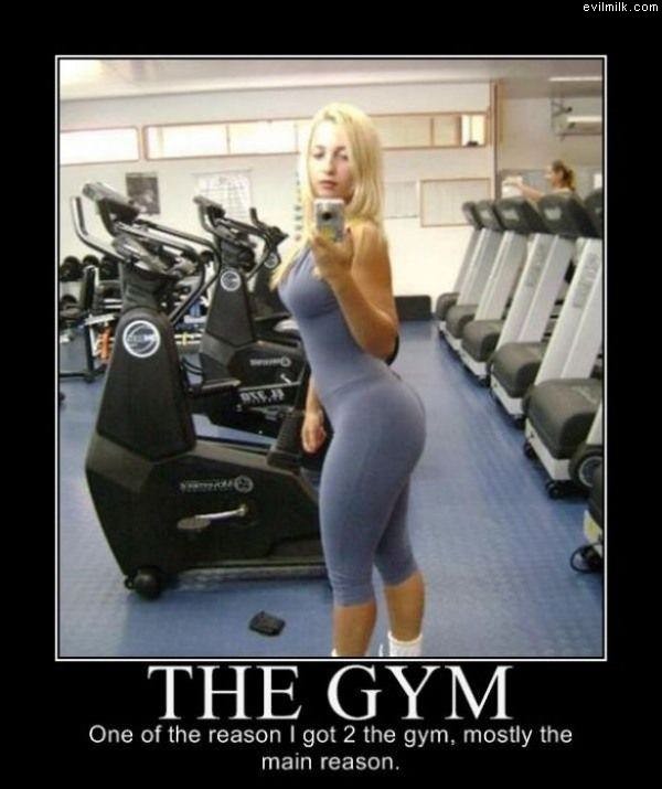 The Gym